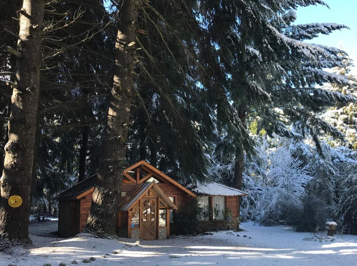 Dos Lunas Villa La Angostura Exteriör bild